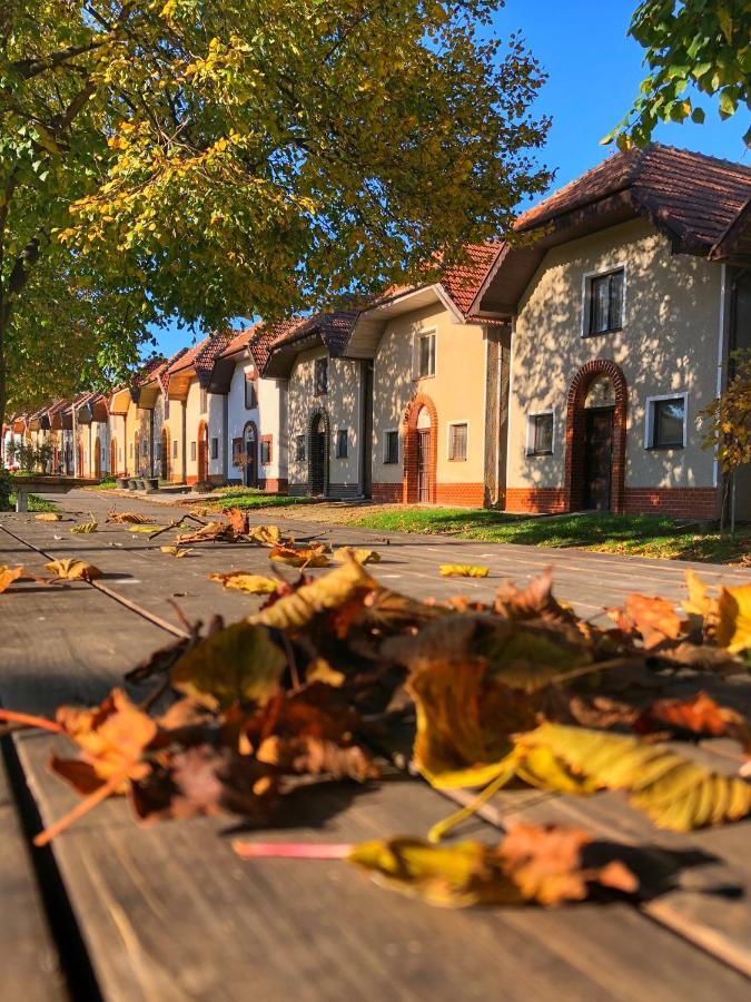 Cejkovsky Dvorek Cejkovice  Exterior foto